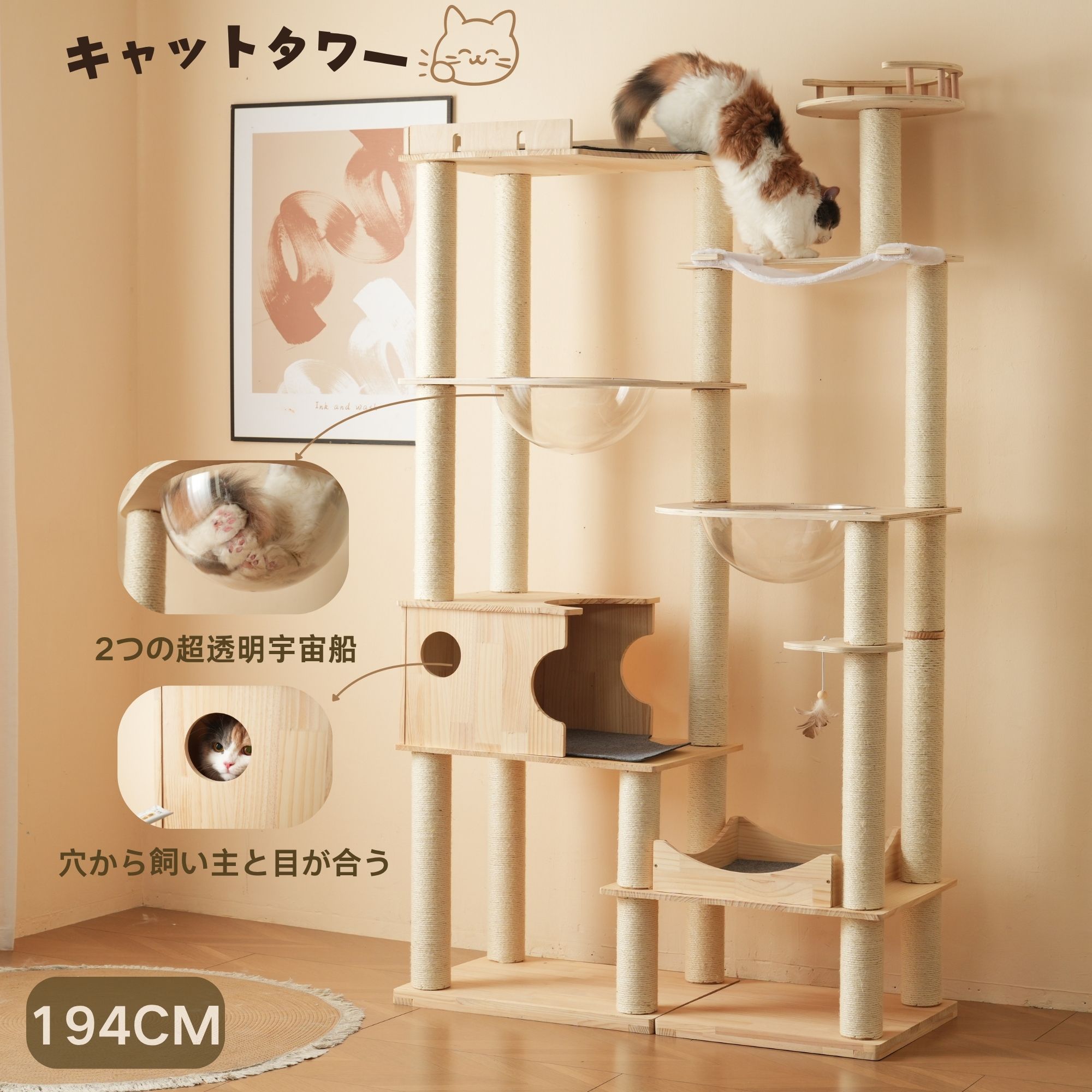 一人暮らし・身寄り向け家電特集