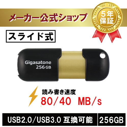 新登場！数量限定価格！【保証5年】Gigastone USBメモリ 256GB USB3.0 高速 USBメモリー USBスティック USBキャップレス USBメモリ 可愛い USBメモリ 小型 USBスライド式 USBメモリ オシャレ データ バックアップ 高い互換性 高品質NAND 送料無料 ギガストーン