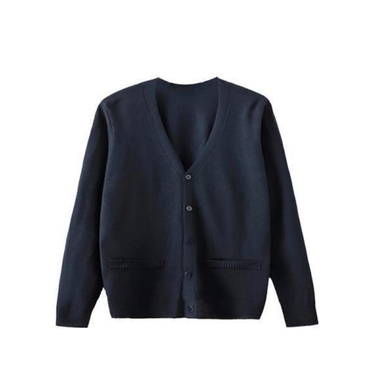 今だけ大安売り 送料無料 Jk制服 Vネック カーディガン コート スクール スクールセーター セーター ニット メンズ レディース 中学生 中校生 入学 制服 学生服 高校 高校生 印象のデザイン スクールセーター