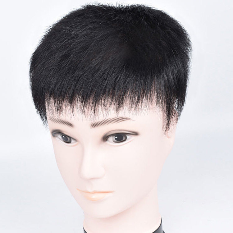 ウィッグ 人毛100％ 総手植え フルウイッグ ファッションウィッグ 
