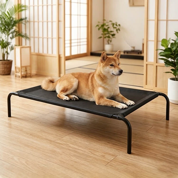 6月 百貨店SALE