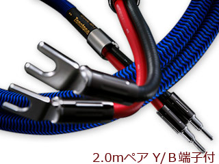 Zonotone ゾノトーン Grandio SP-1 完成品（2.0mペア）Y/Ｂ端子付