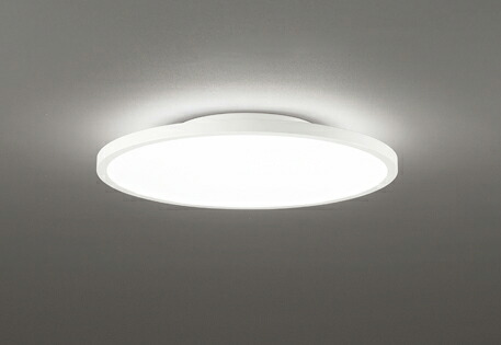 ODELIC オーデリック OL291618BR LED最高限度ともし火（～8畳） 白熱電球色～昼光色 遠隔操作付 常夜灯付