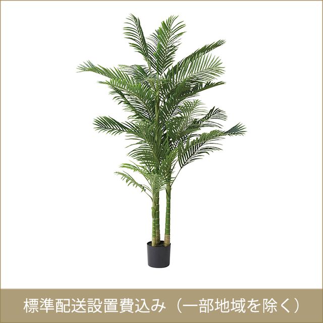 東谷 ROOM ESSENCE フェイクグリーン アレカヤシ GRN-19 開梱設置サービス付き 同梱不可・カード決済限定・一部地域のみお届け可能|GIMMICK