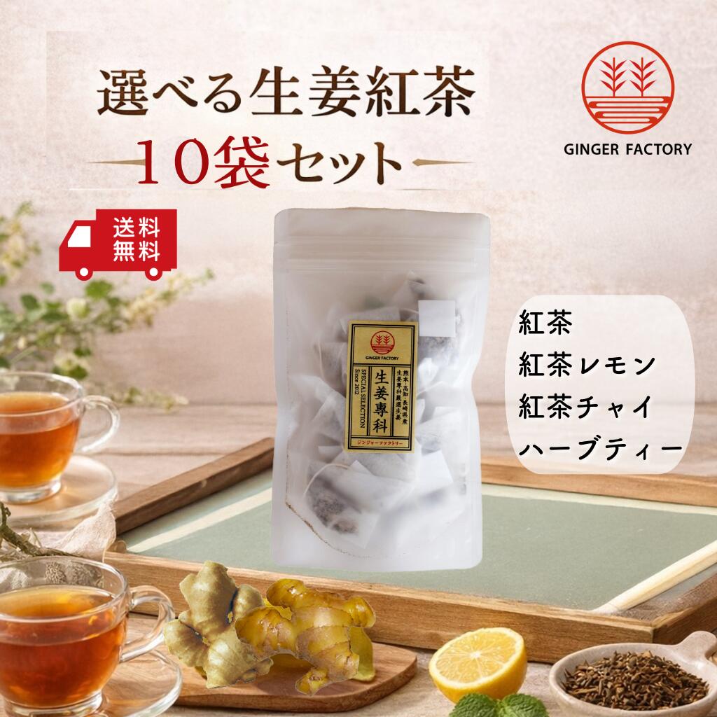 生姜紅茶 選べる10袋セット ティーバッグ 国産生姜使用(紅茶・レモン・チャイ・ハーブ)メール便 無糖|生姜専門店 GINGER FACTORY