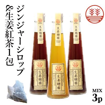 ジンジャーシロップ ビートグラニュー糖 200ml × 1本 甜菜糖 200ml × 2本 + 生姜紅茶 1包 国産  無着色 熊本 高知 長崎 ジンジャーエール 生姜シロップ しょうがシロップ ジンジャーハイボール 生姜湯 生姜紅茶 温活 冷え ポカポカ