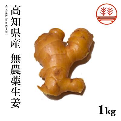 無農薬 生姜 高知県産 国産 送料無料 しょうが ショウガ 根生姜 農薬不使用 業務用 長期保存 冷え性 温活 ジンジャー 佃煮 薬味 きざみ 生姜焼き 唐揚げ