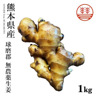 人気 熊本県産 種生姜 5kg - 通販 - accueilfrancophonemb.com