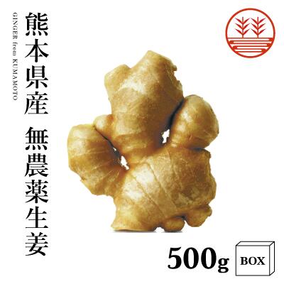 ginger-factory_gf0039