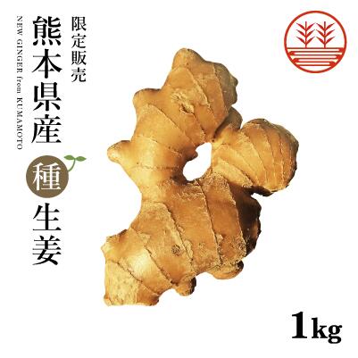種生姜 熊本県産 無農薬 国産 1kg 送料無料 たね生姜 生姜栽培 家庭菜園｜生姜専門店 GINGER FACTORY