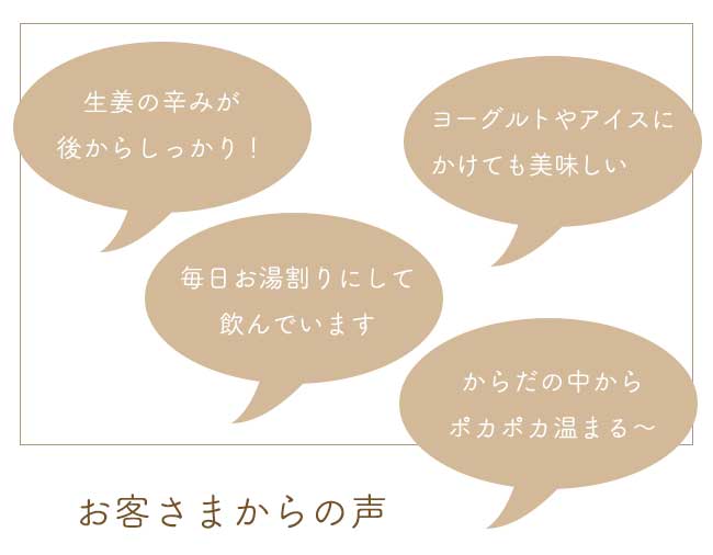 市場 ジンジャーシロップ 高知 長崎 国産 200ml 無着色 甜菜糖 生姜シロップ × 熊本 ジンジャーエール しょうがシロップ 無添加 2本