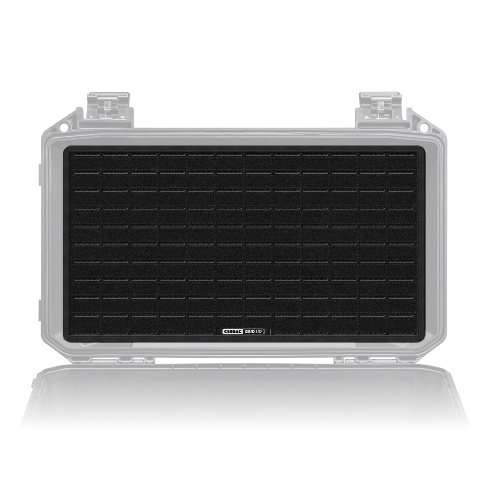 まっ盛りひな形継続期間押さえる大売り出し「SUMMER COLOR SELECTION」