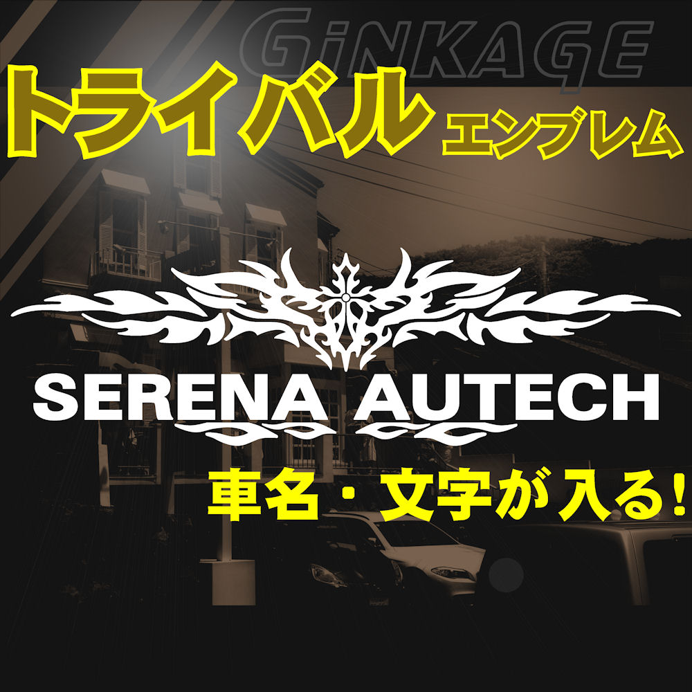 車名 文字入れ ステッカー 車種が選べる 名前が入る 車 メーカー ロゴ 名入れ 英１５文字迄入る かっこいい トライバル エンブレム 外装 ３ｍ カッティングシート ステッカーサイズ 新品 送料無料