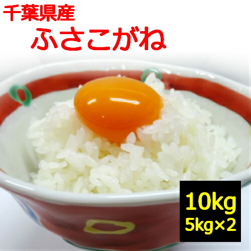 【新米】【送料無料】【新米】【令和７年産】白米【千葉県産 ふさこがね 10kg】米　5kg&times;2袋でお届け地域によっては追加送料がかかります｜銀米堂