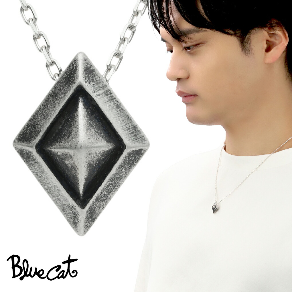 Blue Cat シンプル ダイヤ ネックレス ペンダント メンズネックレス シルバー 925 燻し マット ブラック 無骨 かっこいい さりげない メンズ 男性 彼氏 夫 旦那 誕生日 記念日 プレゼント 人気 おしゃれ 28,875円