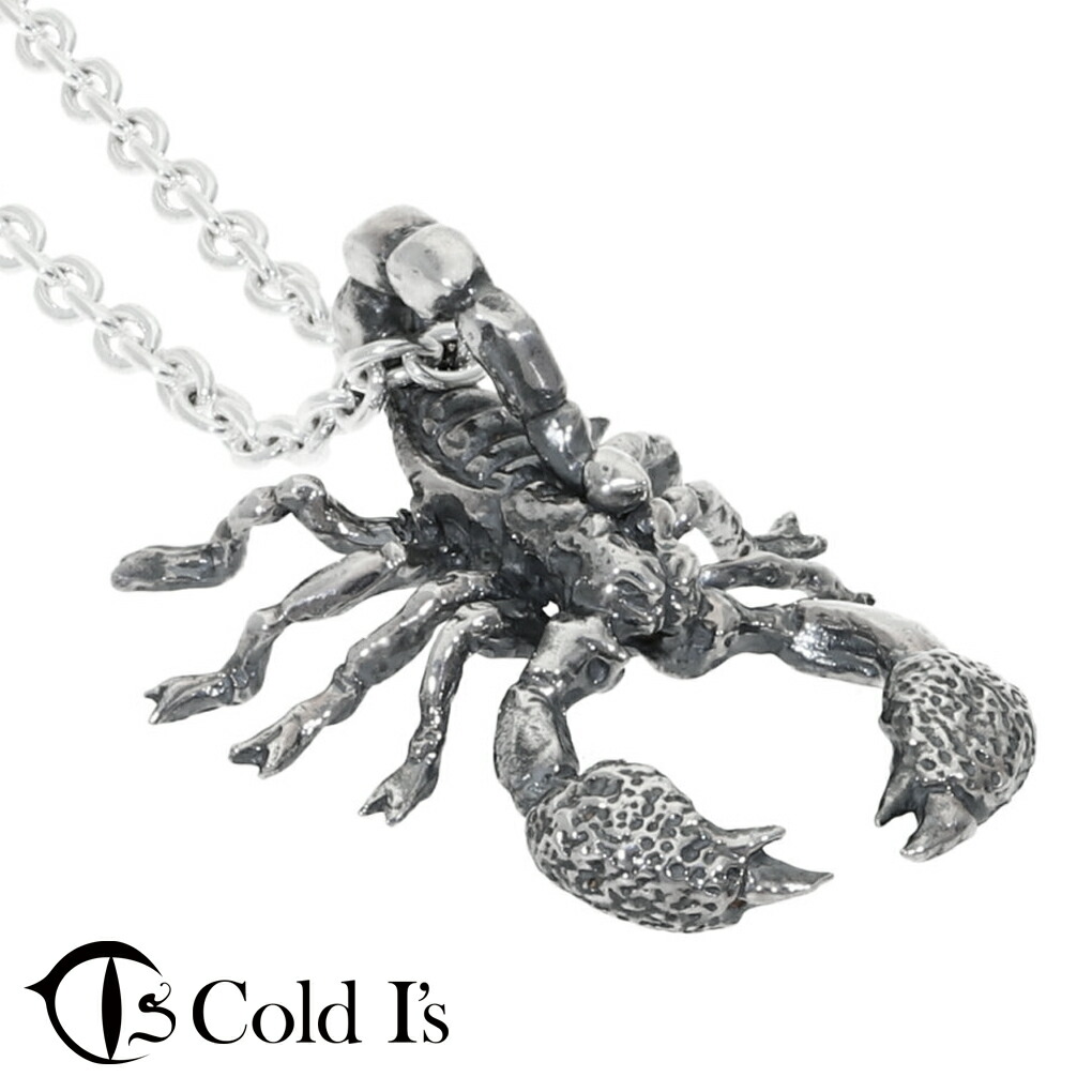 コールドアイズ　バードイータータランチュラペンダントシルバーネックレス Cold I's バードイーター タランチュラ ペンダントトップ