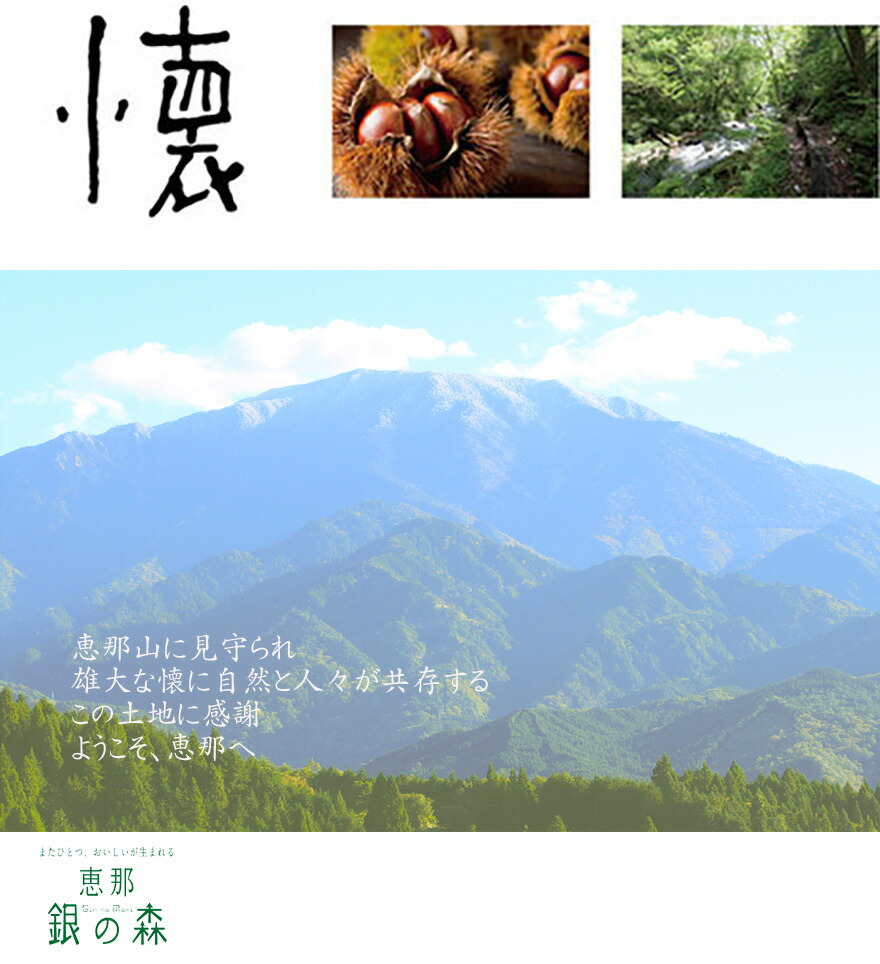 楽天市場 お中元 サマーギフト プレゼント 誕生日 スイーツ 洋菓子 ギフト ありがとう お取り寄せ グルメ お土産 手土産 岐阜 恵那 銀の森 スティックケーキ 8本入 おせち屋 銀の森 楽天市場店