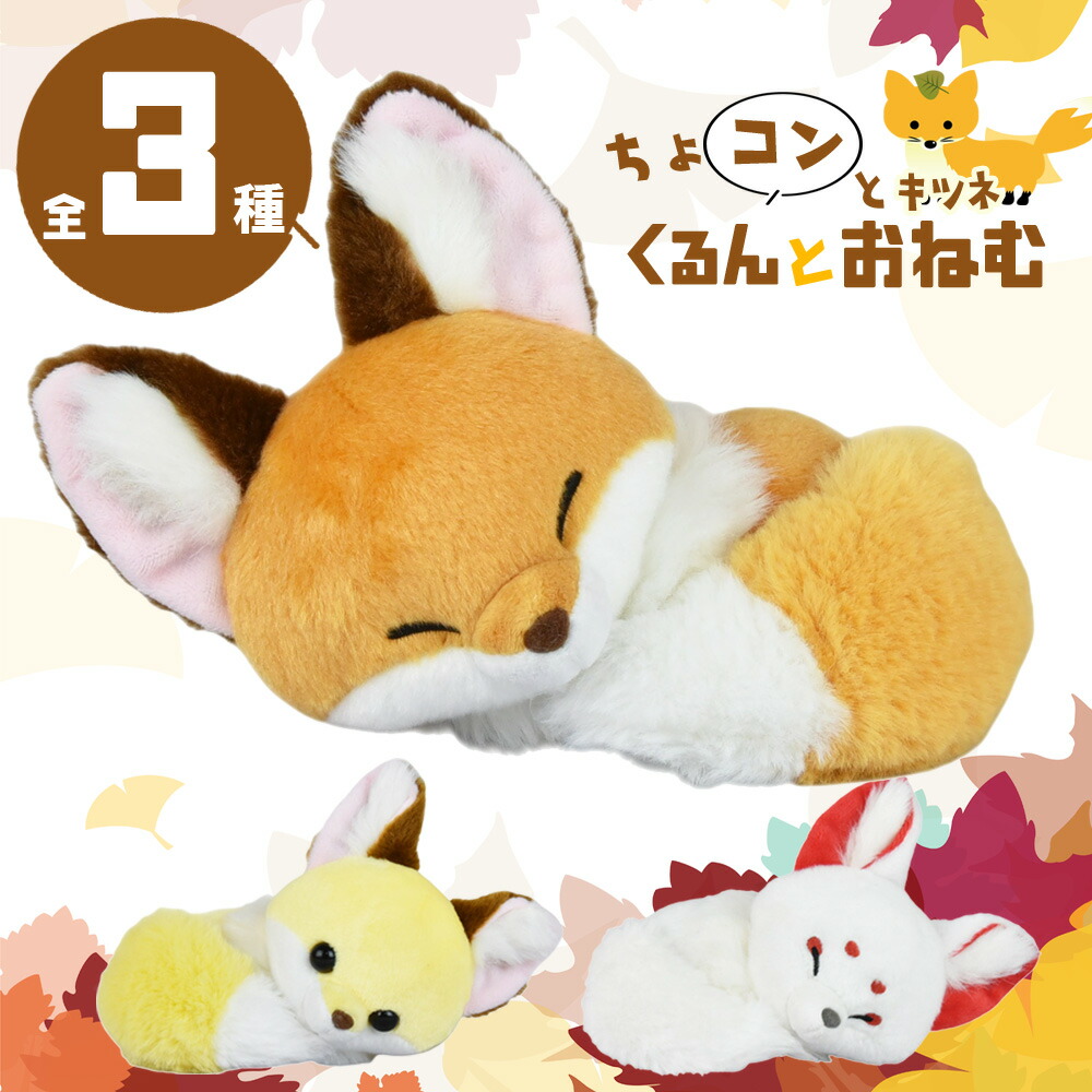 楽天市場】[2点セット] ちょコンとキツネ福だるま わたあめ STサイズ+