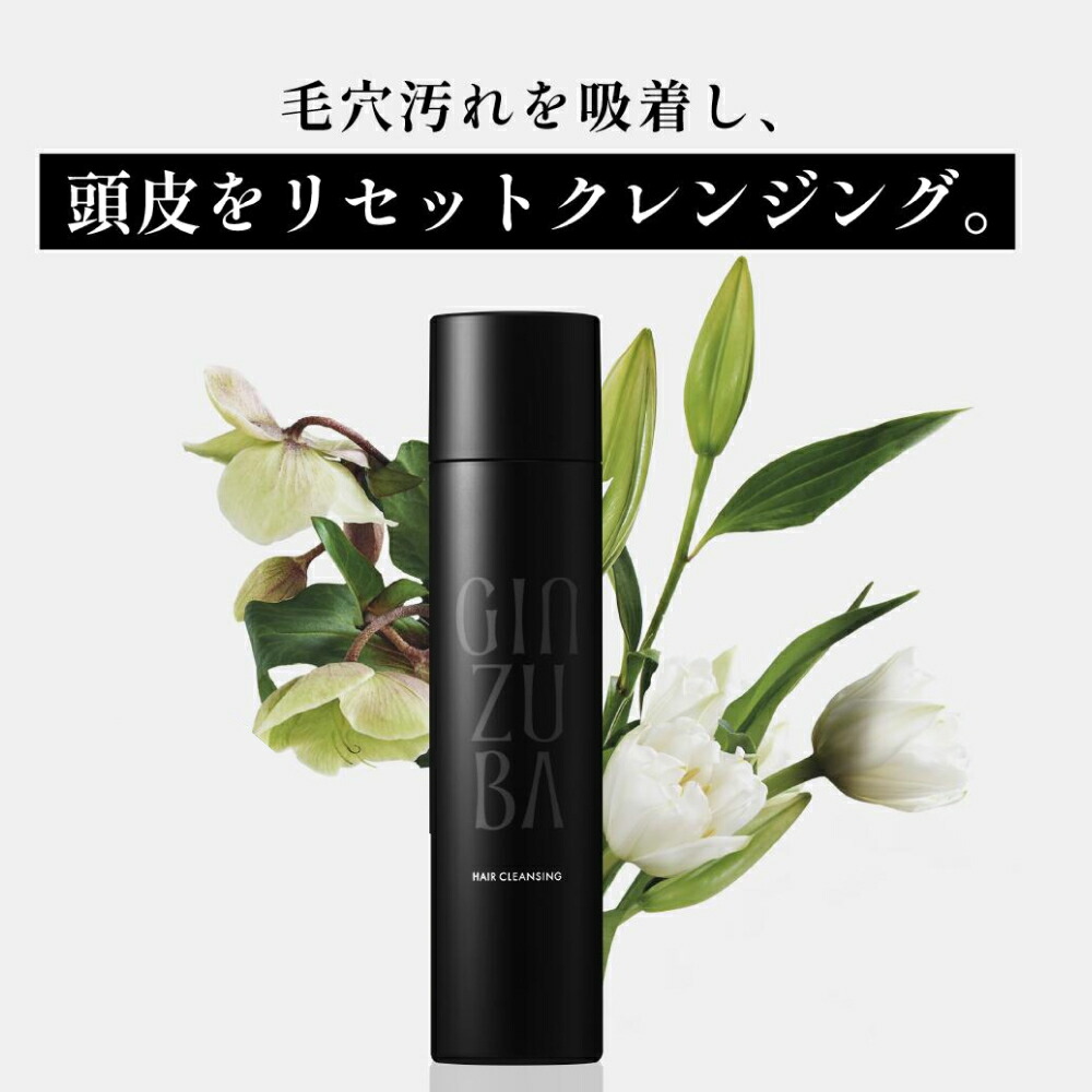 楽天市場】【GINZUBA公式】パワーミスト ドライヤー速乾 熱保護