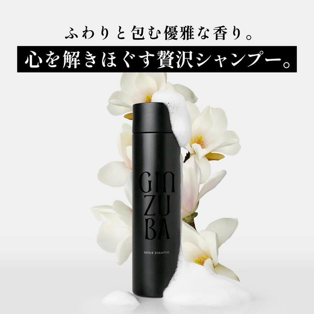 楽天市場】【GINZUBA公式】パワーミスト ドライヤー速乾 熱保護