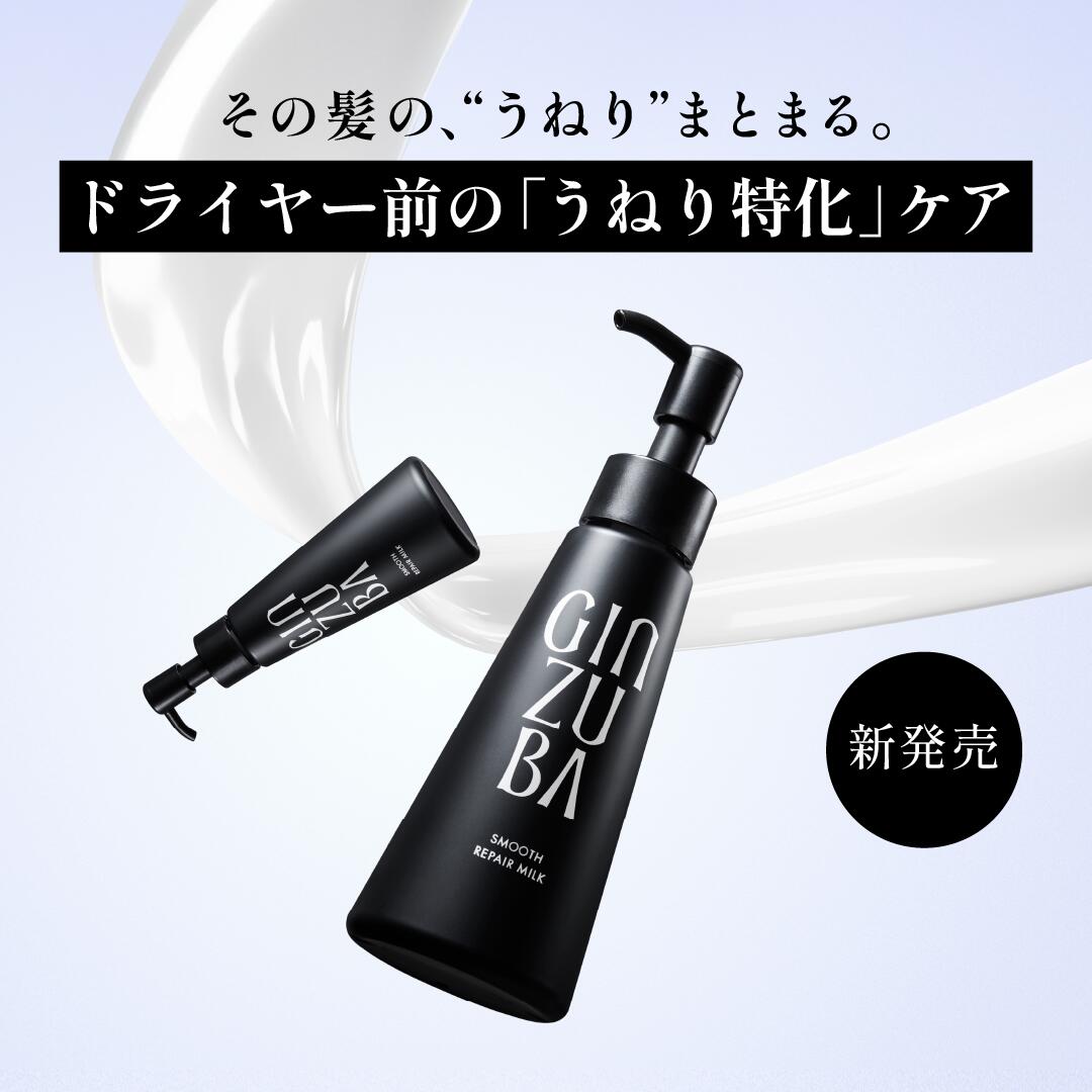 楽天市場】【GINZUBA公式】パワーミスト ドライヤー速乾 熱保護