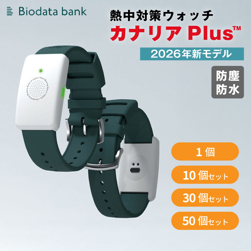 百貨店SALE 執り行なう！！