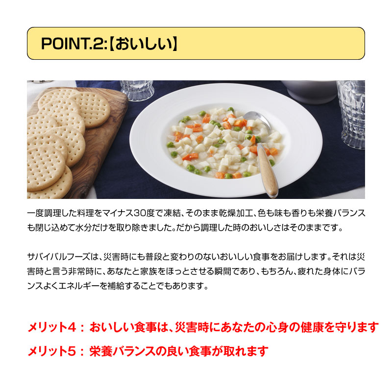 25年保存 非常食 サバイバルフーズ 洋風とり雑炊 大缶 1号缶 10食相当 ごはん ご飯 1缶 単品 保存缶 Napierprison Com