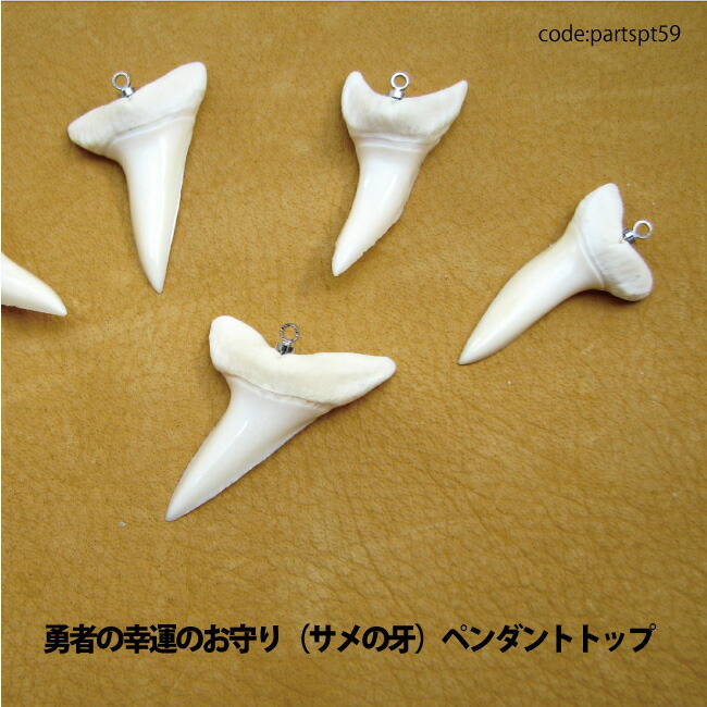 楽天市場】アクセサリー パーツ ペンダント サメ牙 サメ歯 (青サメ