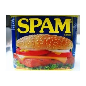 沖縄ホーメル　レギュラースパム（SPAM）・ポークランチョンミート ２４缶（１ケース）