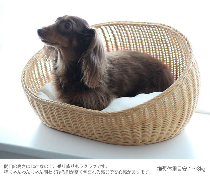 ラタン オーバルベッド メッセージカード対応 キャットベッド 猫用ベッド ベッド ハウス クッション 犬用 かわいい おしゃれ 猫用 ネコ いぬ 犬 イヌ Napierprison Com