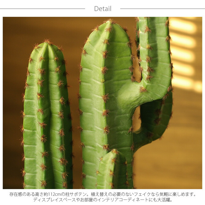 Brown ブラウン フェイクグリーン 柱サボテン 柱サボテン ポット 112cm 人工観葉植物 Pp02 観葉植物 フェイクグリーン 花 観葉植物 サボテン おしゃれ ディスプレイ ボタニカル 植物 多肉植物 インテリア おしゃれ あす楽 Uminecco ウミネッコ フェイクグリーンで Brown ブラウン フェイクグリーン 柱サボテン 柱サボテン ポット 112cm 人工観葉植物 Pp02 観葉植物 フェイクグリーン 花 観葉植物 サボテン おしゃれ ディスプレイ ボタニカル 植物 多肉植物 インテリア おしゃれ あす楽 Uminecco ウミネッコ フェイクグリーンで