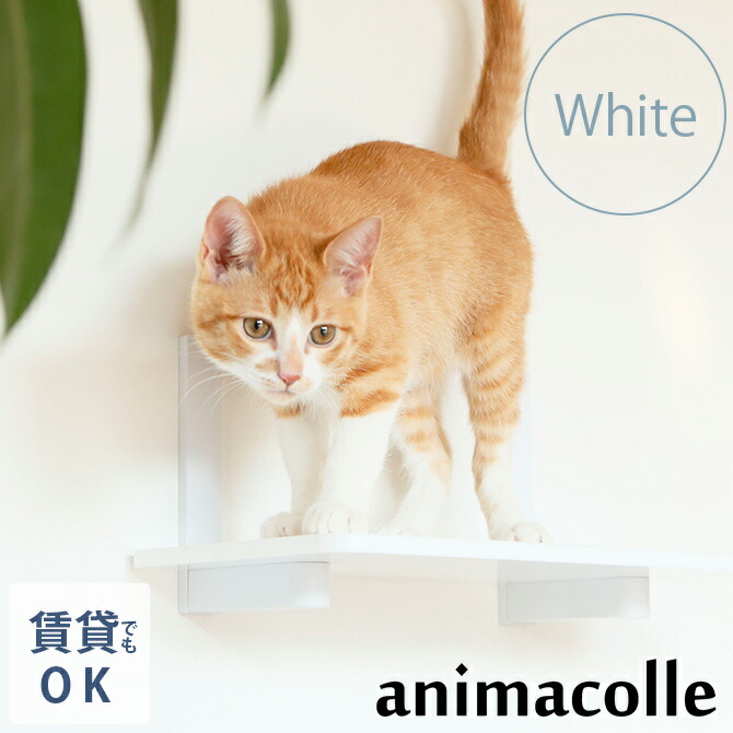 なまま　猫ちゃんステップ インテリアとしてもインパクト抜群！三日月型のかわいすぎる猫