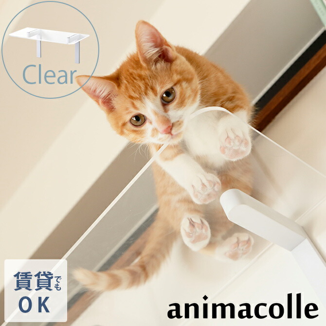 キャットステップ animacolle アニマコレ Catroad+ キャット クリアステップ cp259 【ラッピング対応】 【メッセージカード対応】 猫 賃貸 キャットステップ キャットウォーク 壁 DIY 上下運動 キャットタワー 透明 クリア|uminecco(ウミネッコ)
