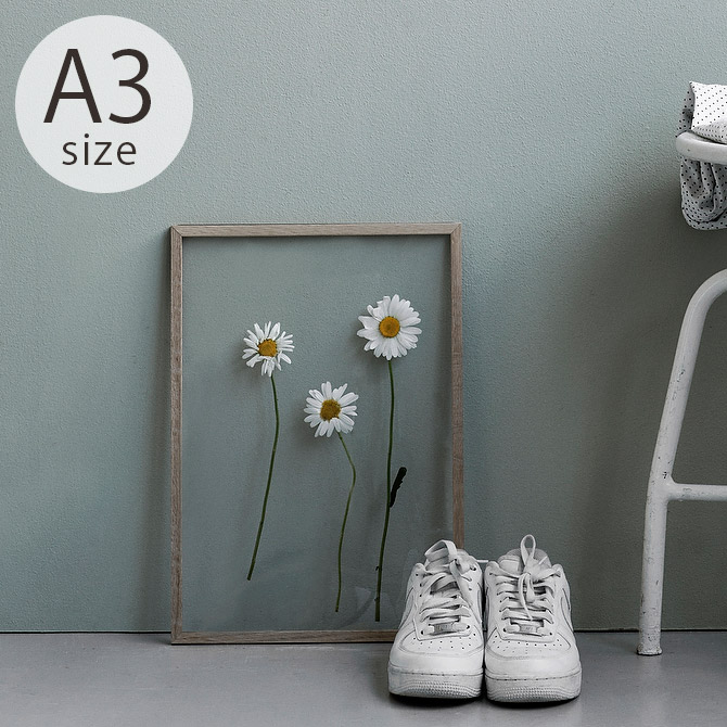 最安値 楽天市場 Moebe ムーベ Frame フレーム A3 オーク ラッピング対応 メッセージカード対応 ポスターフレーム 北欧 おしゃれ A3 木製 フレーム 額縁 インテリア 押し花 アート あす楽 Uminecco ウミネッコ ポイント10倍 Lexusoman Com