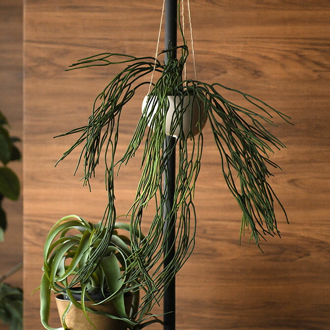 楽天市場】フェイクグリーン 鉢植え 大型 観葉植物 人工樹木 楽天市場】フェイクグリーン 鉢植え 大型 観葉植物 人工樹木