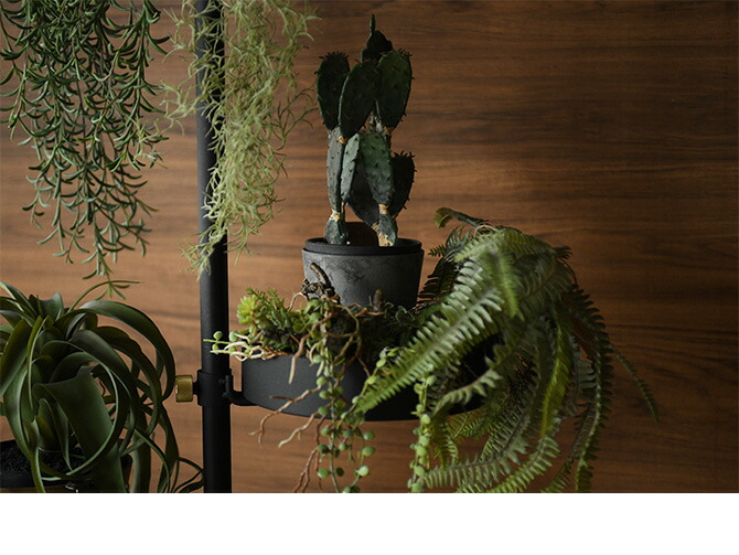 DRAW A LINE ドローアライン グリーンディスプレイセット 【メッセージ