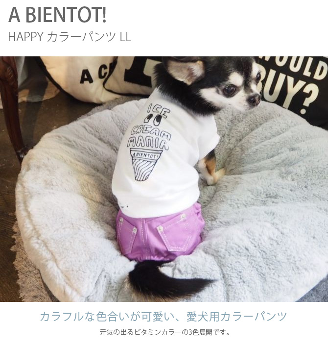 1点までメール便可 A Bientot アビエント Happy カラーパンツ メッセージカード対応 犬用 犬の服 パンツ ドッグウェア ズボン カラフル 可愛い Schwimmbad Delphine De