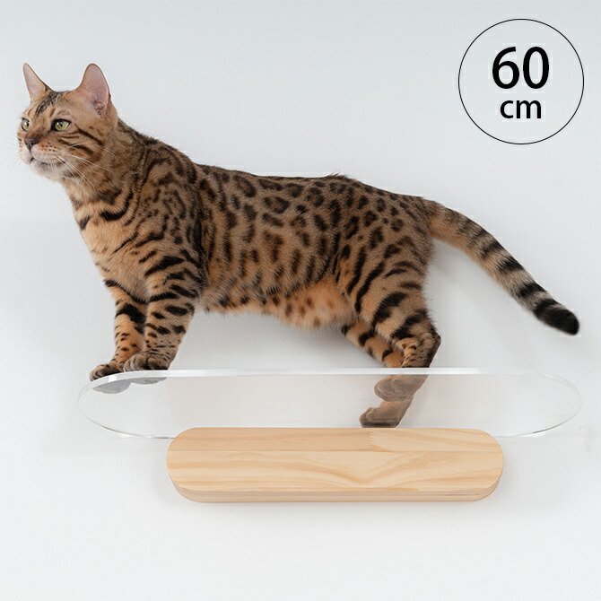 キャットステップ MYZOO マイズー OBLONG 透明キャットステップ 60cm 猫用 キャットステップ キャットウォーク 壁付け 壁掛け クリア アクリル 猫用家具 キャットタワー 北欧