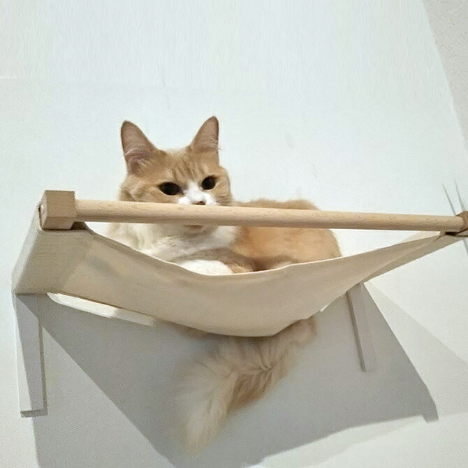 キャットハンモック Diy感覚で簡単に取り付けできるおしゃれなキャットステップハンモック メッセージカード対応 Catroad キャットハンモック Animacolle アニマコレ キャットステップ 白 猫用品 キャットタワー 猫用 ハンモック ステップ キャットウォーク Diy 壁 キャットハンモック Diy感覚で簡単に取り付けできるおしゃれなキャットステップハンモック メッセージカード対応 Catroad キャットハンモック Animacolle アニマコレ キャットステップ 白 猫用品 キャットタワー 猫用 ハンモック ステップ キャットウォーク Diy 壁