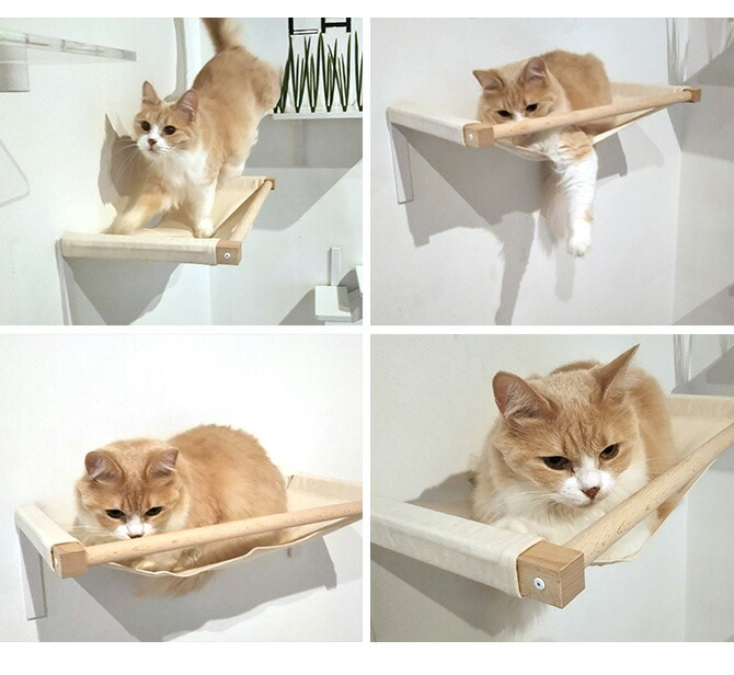 animacolle アニマコレ Catroad キャットハンモック メッセージカード 