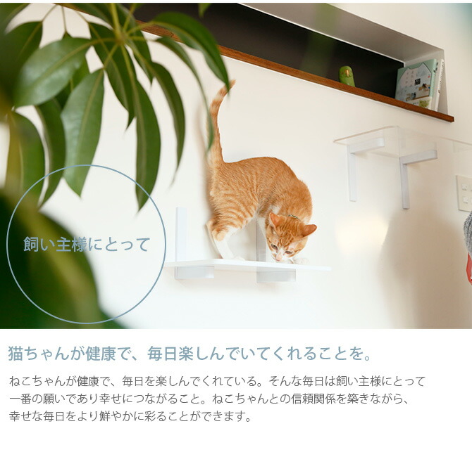 キャットハンモック Diy感覚で簡単に取り付けできるおしゃれなキャットステップハンモック メッセージカード対応 Catroad キャットハンモック Animacolle アニマコレ キャットステップ 白 猫用品 キャットタワー 猫用 ハンモック ステップ キャットウォーク Diy 壁 キャットハンモック Diy感覚で簡単に取り付けできるおしゃれなキャットステップハンモック メッセージカード対応 Catroad キャットハンモック Animacolle アニマコレ キャットステップ 白 猫用品 キャットタワー 猫用 ハンモック ステップ キャットウォーク Diy 壁