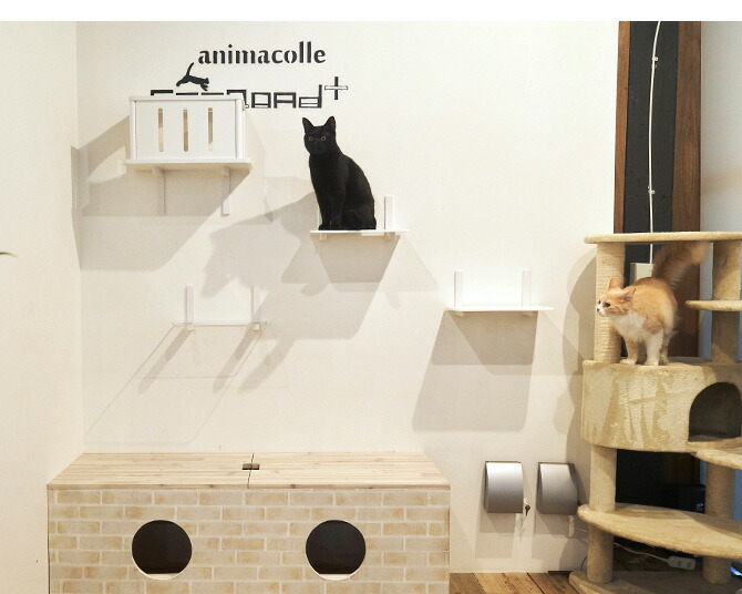 Animacolle アニマコレ Catroad キャットトンネル メッセージカード対応 猫用 キャットステップ トンネル キャットタワー キャットウォーク Diy 壁 白 シンプル Butlerchimneys Com