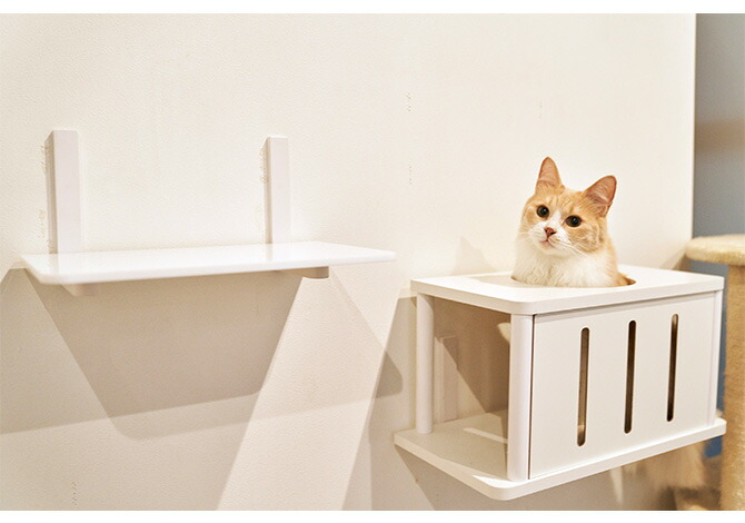 Animacolle アニマコレ Catroad キャットトンネル メッセージカード対応 猫用 キャットステップ トンネル キャットタワー キャットウォーク Diy 壁 白 シンプル Butlerchimneys Com