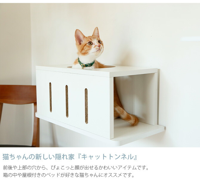 Animacolle アニマコレ Catroad キャットトンネル メッセージカード対応 猫用 キャットステップ トンネル キャットタワー キャットウォーク Diy 壁 白 シンプル Butlerchimneys Com
