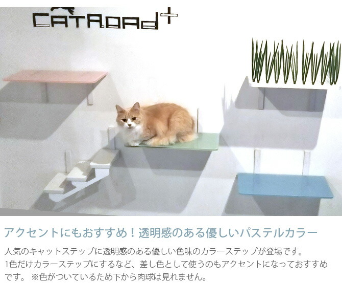Animacolle アニマコレ Catroad カラーステップ メッセージカード対応 猫用 キャットステップ カラー キャットタワー キャットウォーク Diy 壁 シンプル Butlerchimneys Com