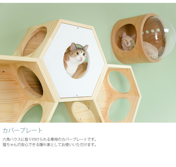 セットです キャットステップ キャットウォーク MYZOO マイズー 壁付 キャットステップ MYZOO マイズー 六角ハウススツールセット チェアが