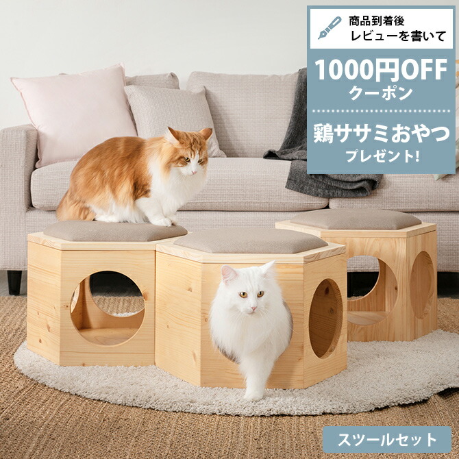 楽天市場】【レビュー特典あり】 キャットステップ MYZOO