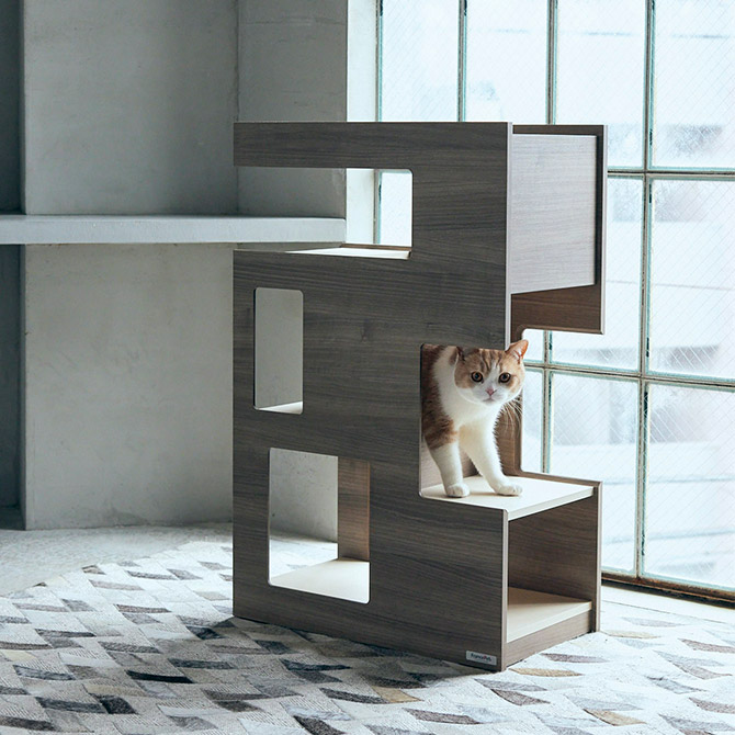 楽天市場】＼福袋クーポン対象／ M-PETS エムペッツ ブリジット