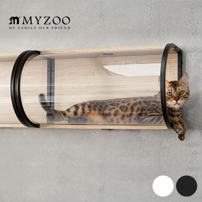 楽天市場】【レビュー特典あり】 キャットステップ MYZOO