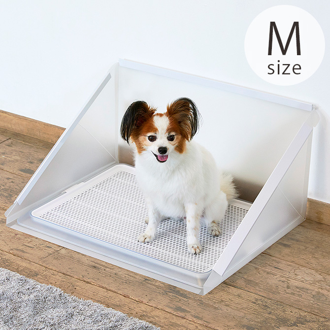 トイレにヘビ 動画】女性を襲った悲劇トイレの便器からヘビがニョロニョロ